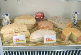 ウオッシュチーズの陳列の一部