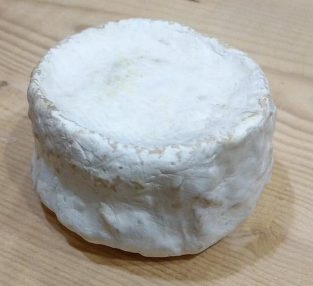 羊のチーズ、石狩平野