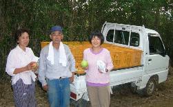収穫したばかりの梨を軽トラックに積み込んで家に帰ります。