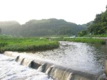 竹田市古園地区を流れる稲葉川。台風後ということもあって水量がとても多いです。この川のすぐ右にいい温泉がありました。宮城温泉出会いの湯といいます。大人は３００円でした。