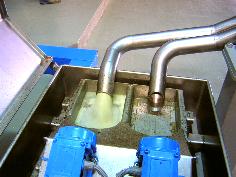 オリーブ実実には水分も豊富。