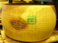 Parmigiano-Reggiano. Prima stagionatura@ƌĂ΂ZJhNX̃p~W[mbW[m