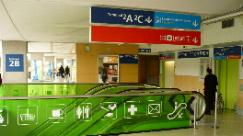 ＪＡＬで日本から到着するターミナルは、２Ｆなので、ここ２Ｄまでは、歩く歩道などを利用してやってきます。すると写真の様な緑色をした下りのエスカレーターがあります。